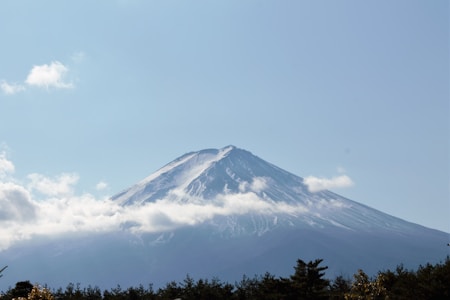 Package Image 1